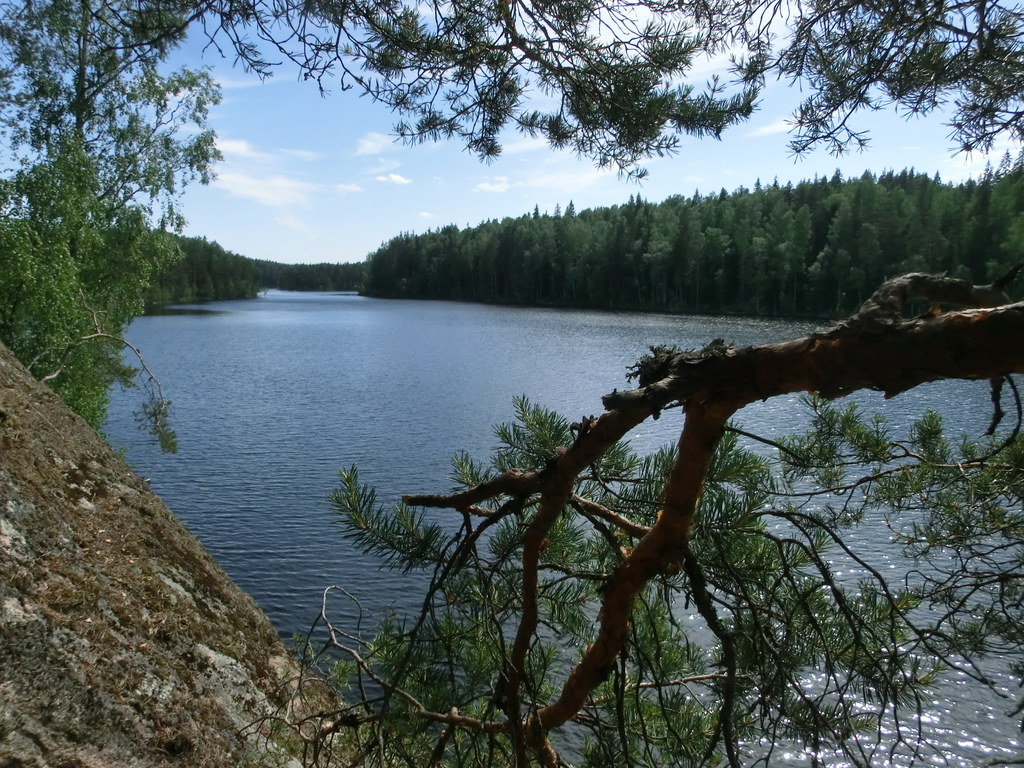 Треугольное озеро ленинградская область