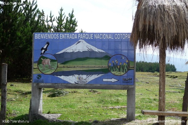 ������� �������, ���� 65