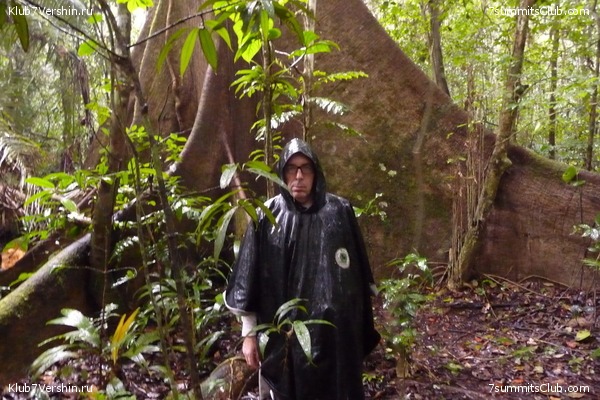 ������� �������, ���� 79