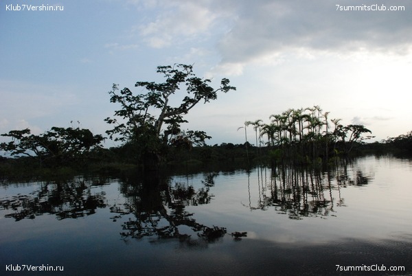 ������� �������, ���� 110