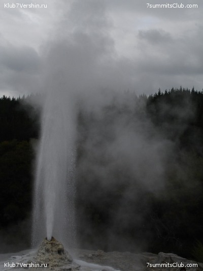 ����� ��������. ������.