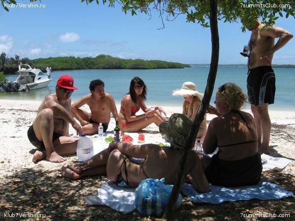 ������� �������, ���� 150