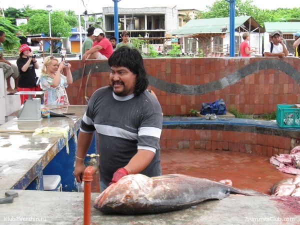 ������� �������, ���� 154