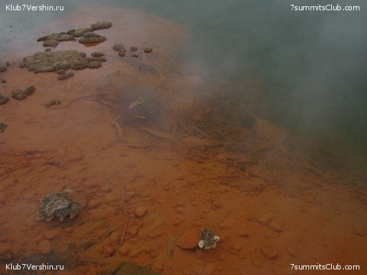 ����� ��������. ������� ���������.