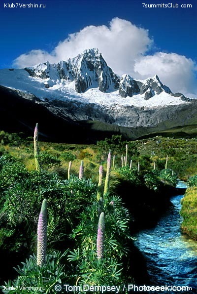 ����������� ������, ���� 56