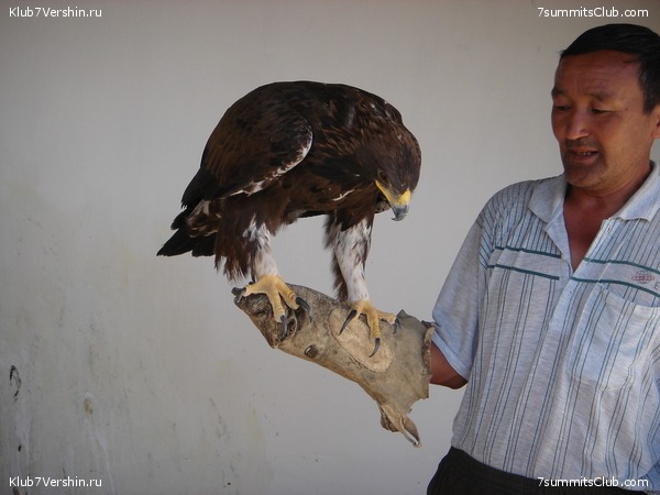 ���-������, ���� 49