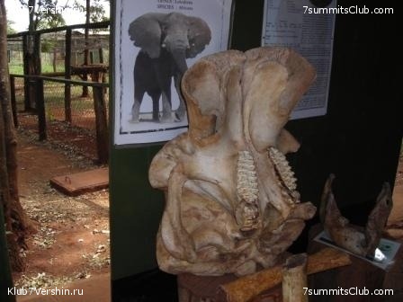 2018 - 2019 ������, ���� 48