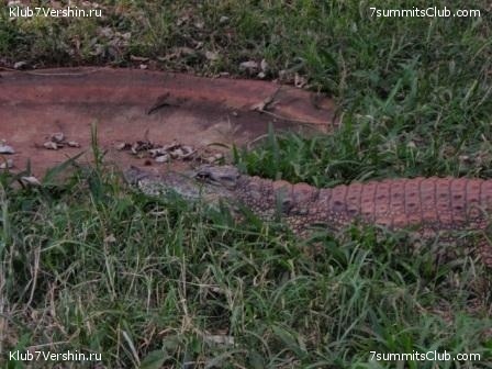 2018 - 2019 ������, ���� 49