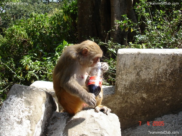 ������� 2005, ���� 25