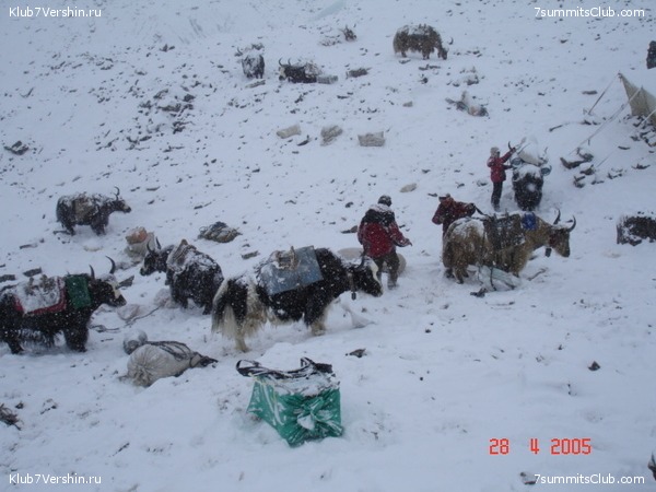 ������� 2005, ���� 51