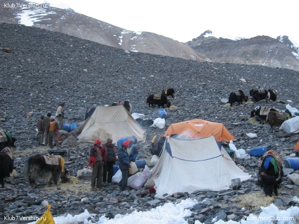 ������� 2007, ���� 65