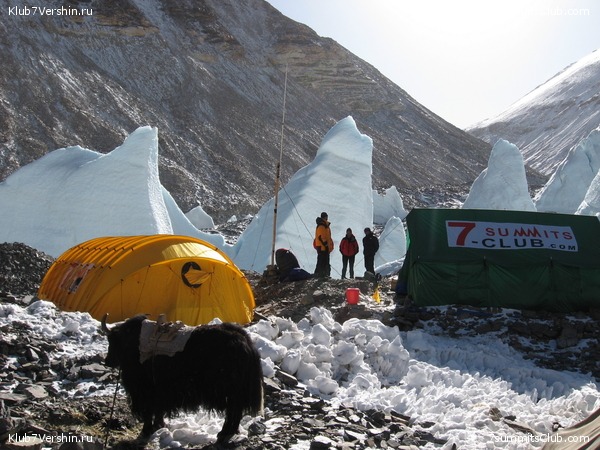 ������� 2007, ���� 83