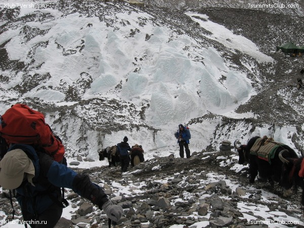 ������� 2007, ���� 86