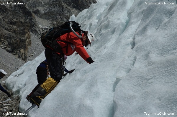 ������� 2009, ���� 36