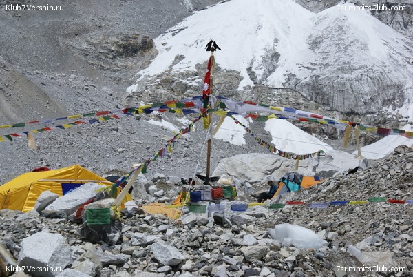 ������� 2009, ���� 85