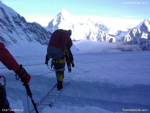 ������� 2009, ���� 113