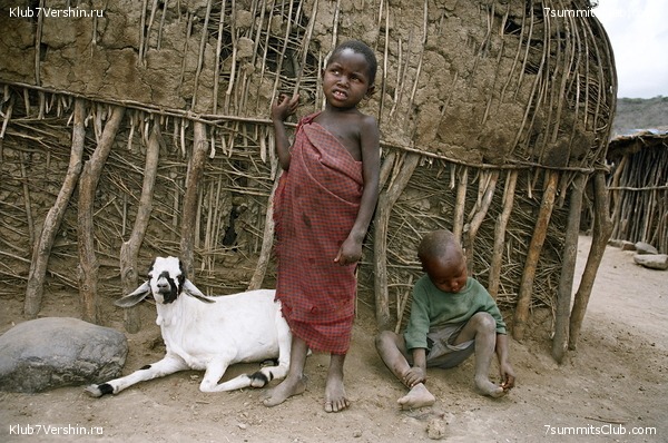 ��������� �����