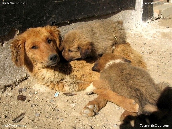 ������� 2010 ����� 2, ���� 18