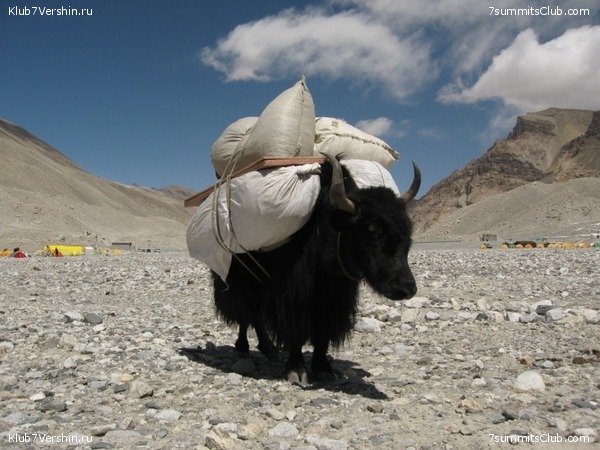 ������� 2010 ����� 2, ���� 27