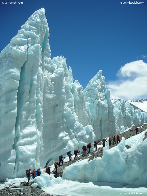 ������� 2010 ����� 2, ���� 224