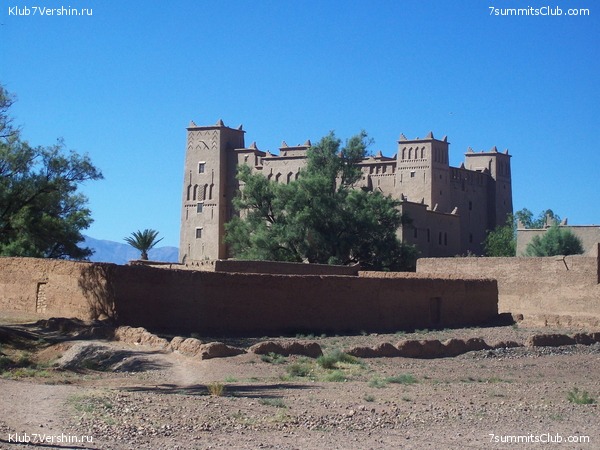 �������. ��� 2010, ���� 2