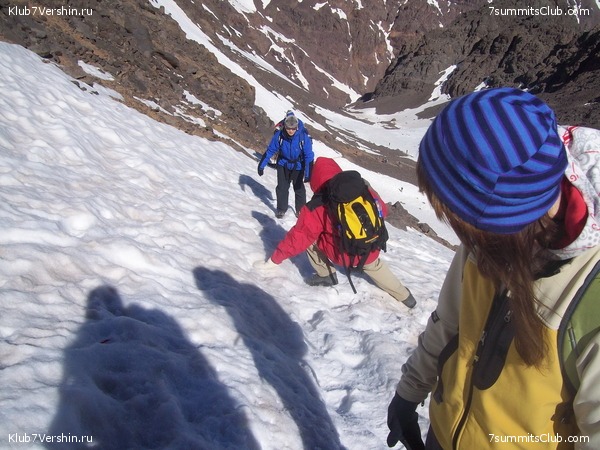 �������. ��� 2010, ���� 8