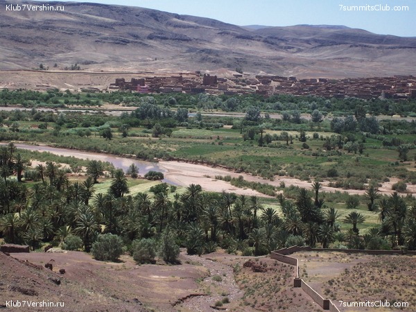 �������. ��� 2010, ���� 11