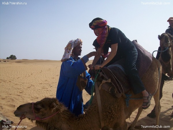 �������. ��� 2010, ���� 15