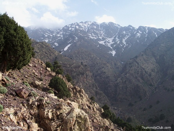 �������. ��� 2010, ���� 17