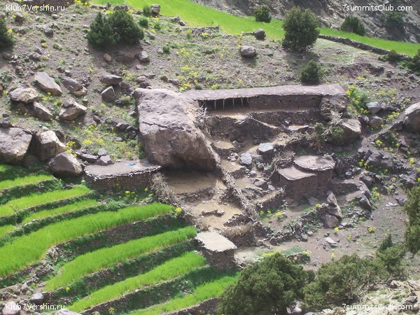 �������. ��� 2010, ���� 21