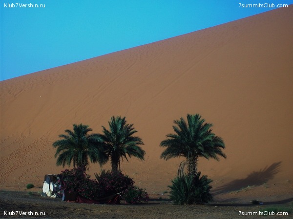 �������. ��� 2010, ���� 24