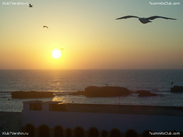 �������. ��� 2010, ���� 28