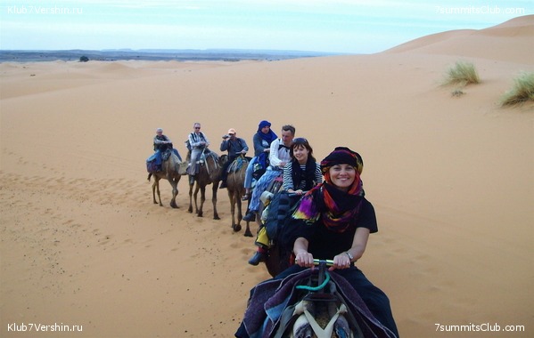 �������. ��� 2010, ���� 1