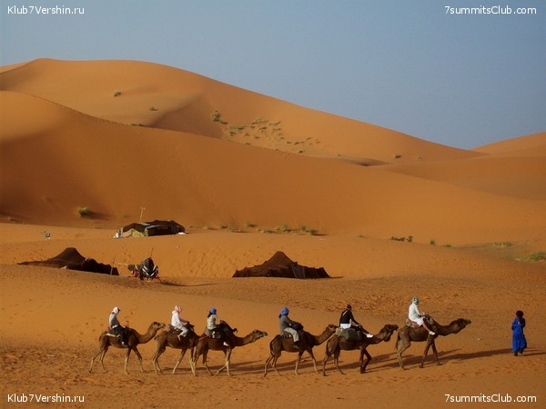 �������. ��� 2010, ���� 39