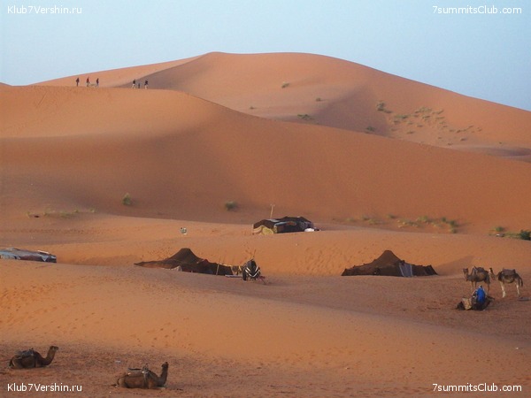 �������. ��� 2010, ���� 40