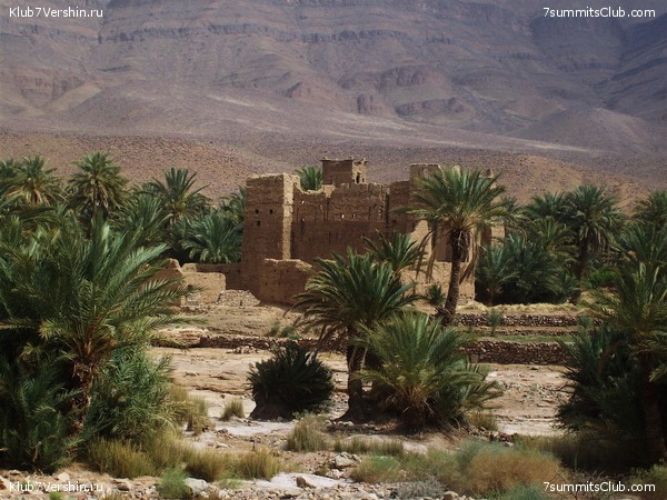 �������. ��� 2010, ���� 49