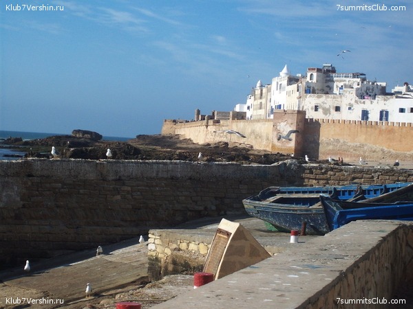 �������. ��� 2010, ���� 50