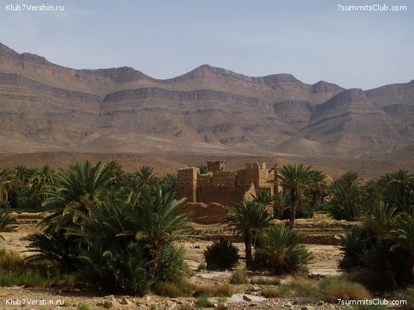 �������. ��� 2010, ���� 51