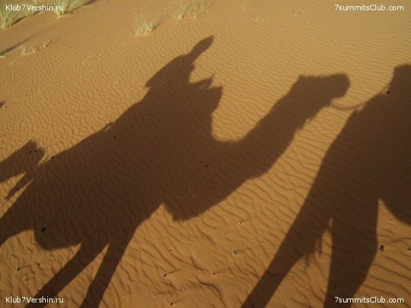 �������. ��� 2010, ���� 57