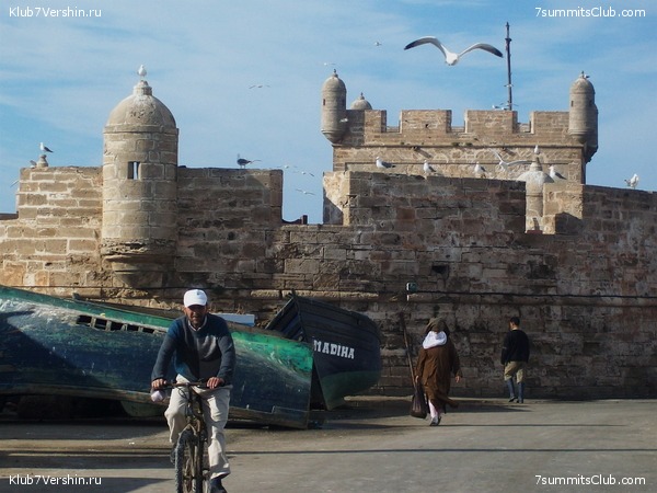 �������. ��� 2010, ���� 59