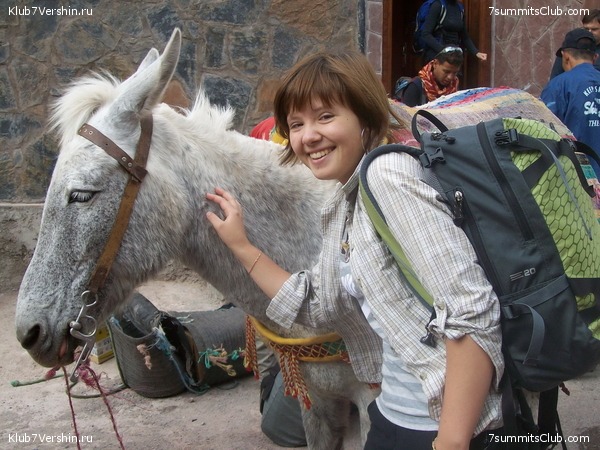 �������. ��� 2010, ���� 65