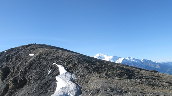 �������. ������� XVIII - XIX ����, ���� 12