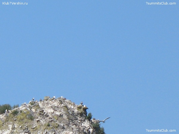 ��������. ���������� �����, ���� 29