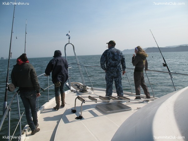 ��������. ���������� �����, ���� 31