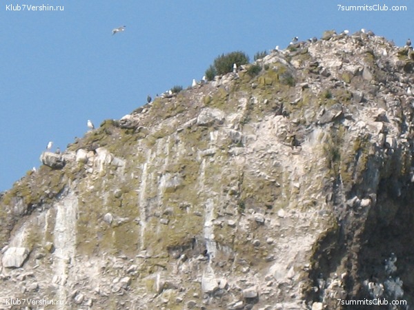 ��������. ���������� �����, ���� 35