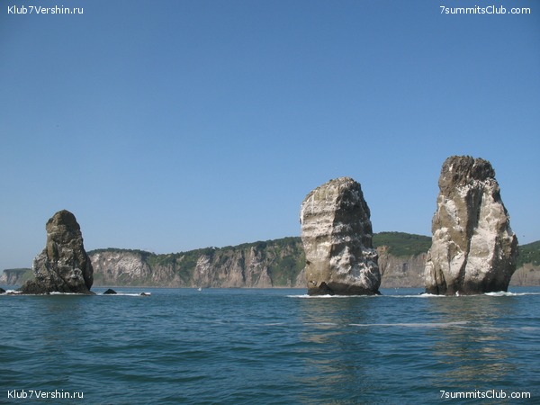 ��������. ���������� �����, ���� 44