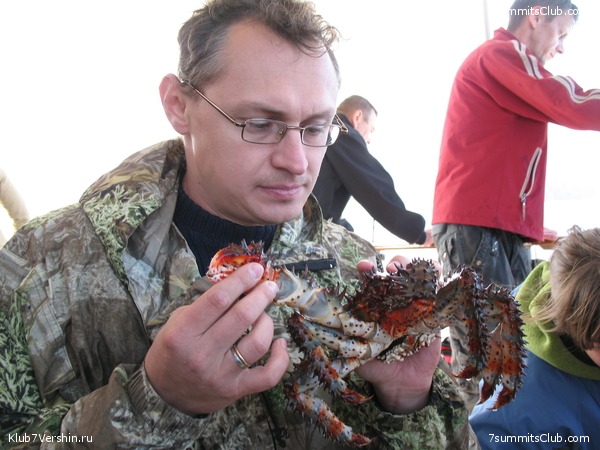 ��������. ���������� �����, ���� 56