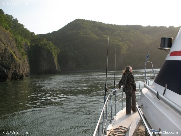 ��������. ���������� �����, ���� 81