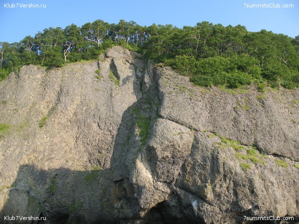 ��������. ���������� �����, ���� 85