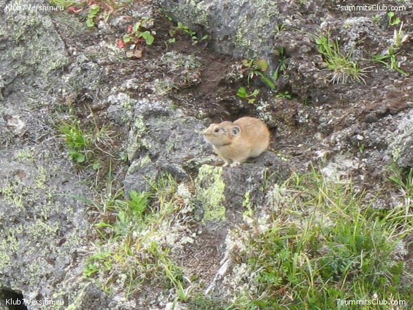 ��������. ������ �������, ���� 2